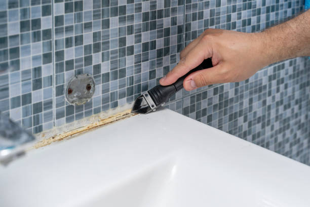 Best Mold Testing  in Alpine, TX